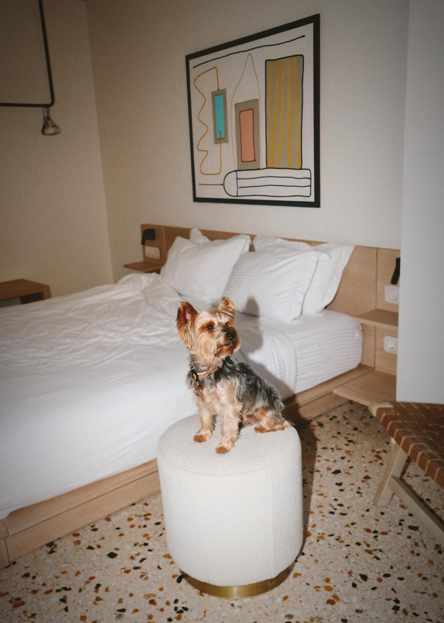 Hotel Vasi à Athènes Extérieur photo